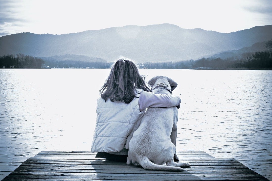 True Blue Pets